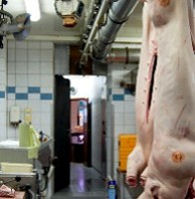 wir stellen alle Wurst selbst her! wir stellen alle Wurst selbst her!